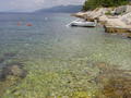 dokumenty/720/P1010169.JPG